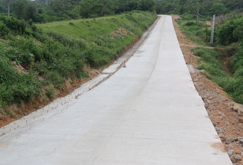 市交通運輸局 縣道753線陽春段公路改造工程將于下個月完工