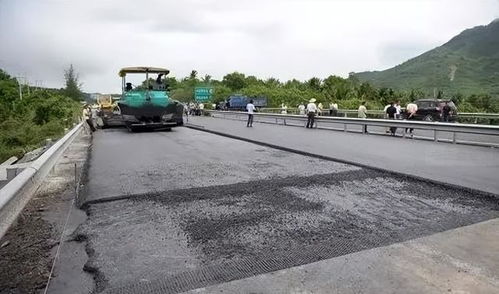 迷信貪官斂財6000萬,國家運動員給他當陪練,被抓前還找大師算卦